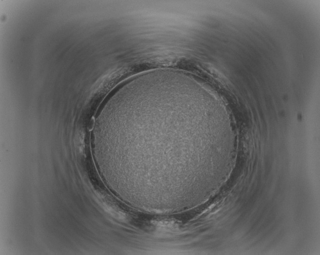 X0000063460693200601271604