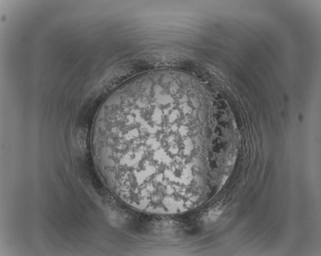 X0000063460695200601271604