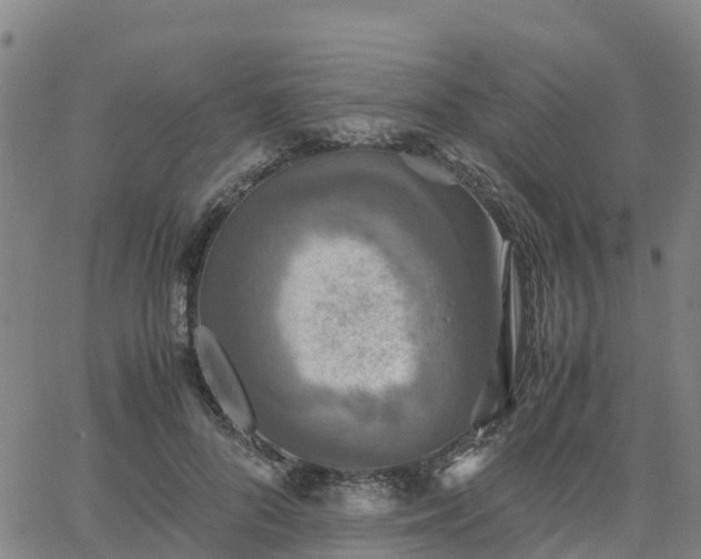 X0000063460696200601271604