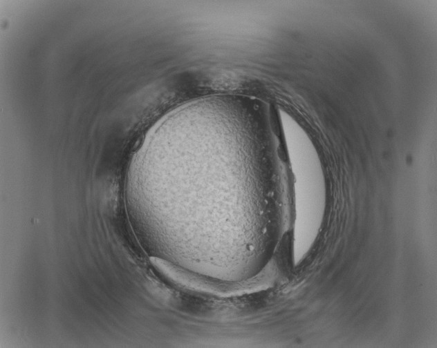 X0000063460697200601271604