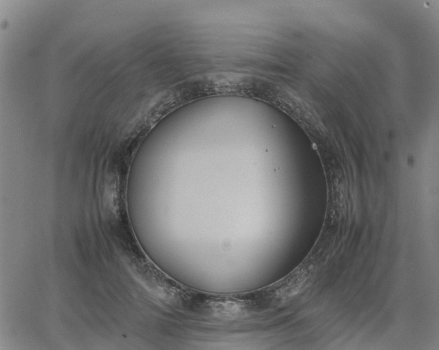 X0000063460698200601271604