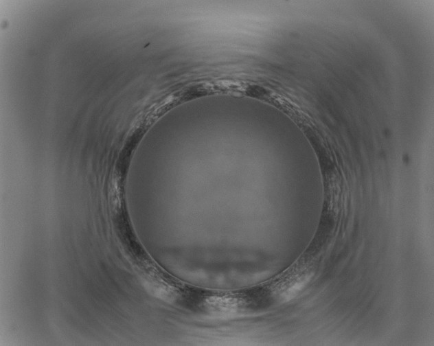 X0000063460699200601271604