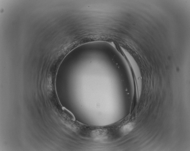 X0000063460700200601271604