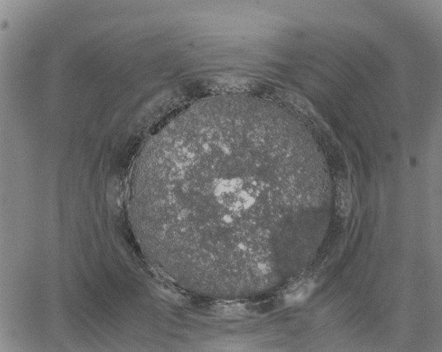 X0000063460701200601271604