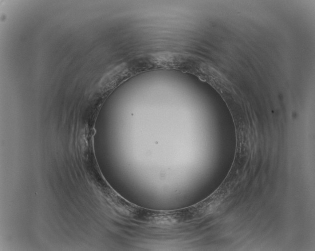 X0000063460702200601271604