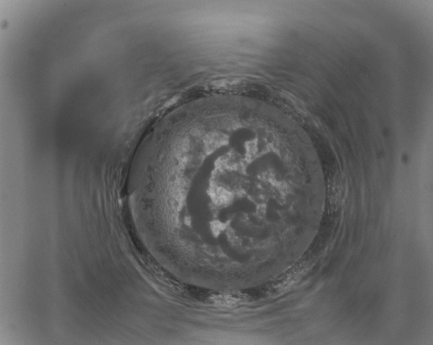 X0000063460703200601271604