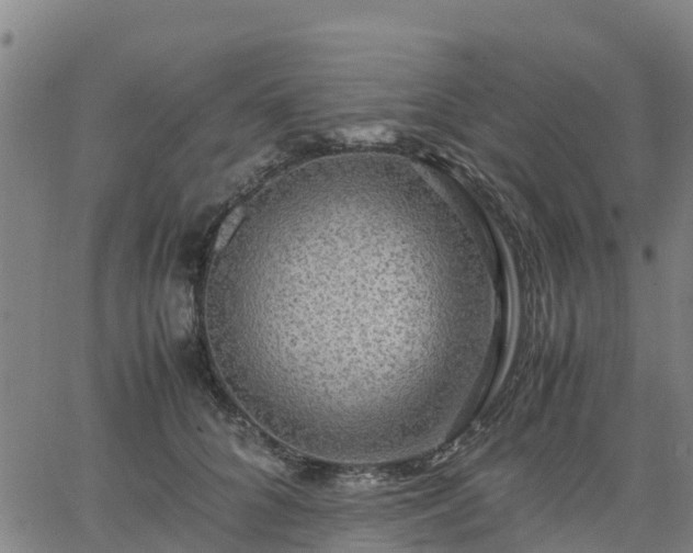 X0000063460704200601271604