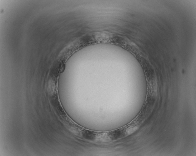 X0000063460705200601271604