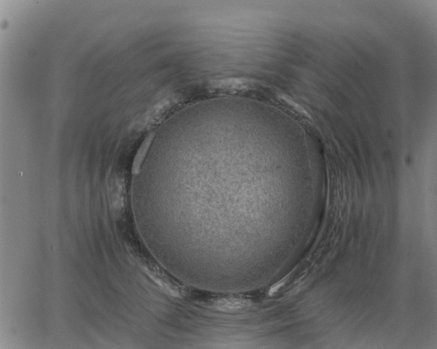 X0000063460708200601271604