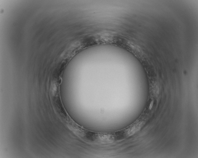 X0000063460709200601271604