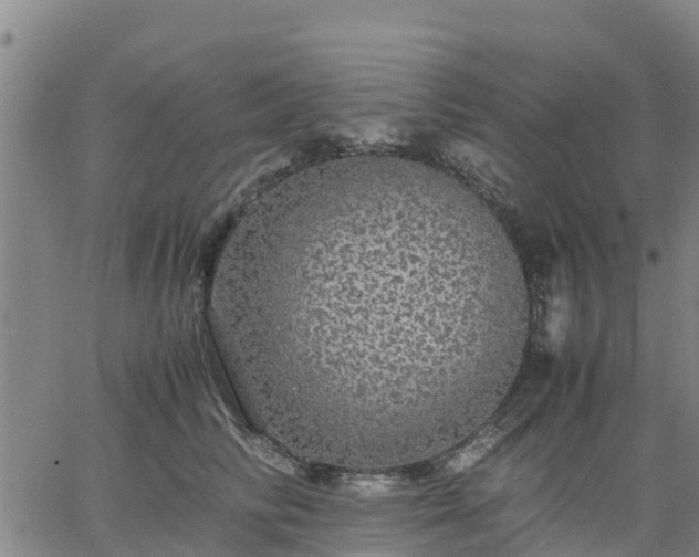 X0000063460710200601271604