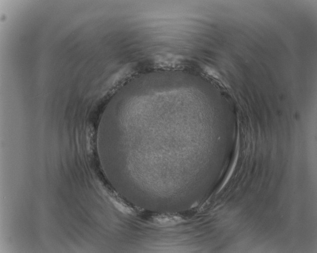 X0000063460712200601271604