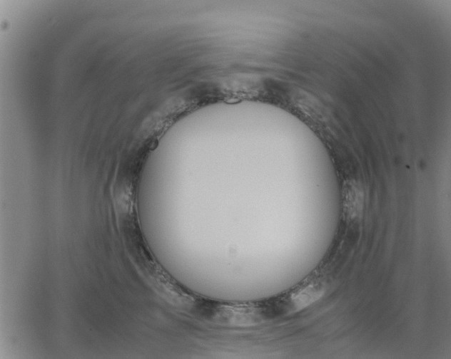 X0000063460713200601271604