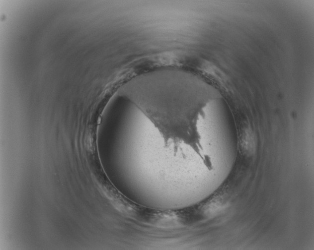 X0000063460715200601271604