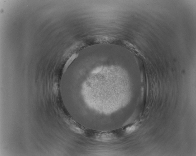 X0000063460716200601271604