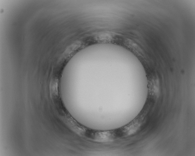 X0000063460717200601271604