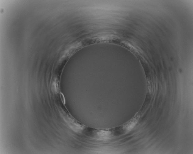 X0000063460718200601271604