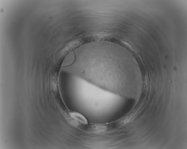 X0000063460719200601271604