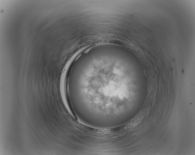 X0000063460720200601271604