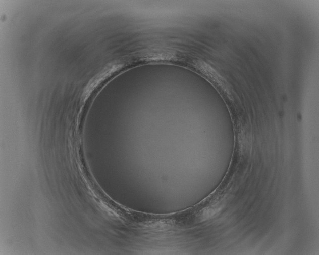 X0000063460721200601271603