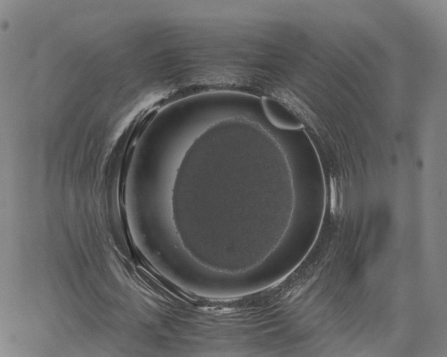 X0000063460723200601271603