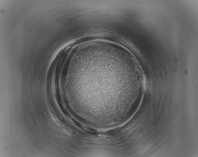 X0000063460724200601271603