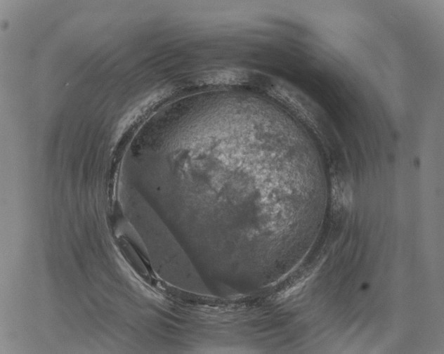 X0000063460725200601271603