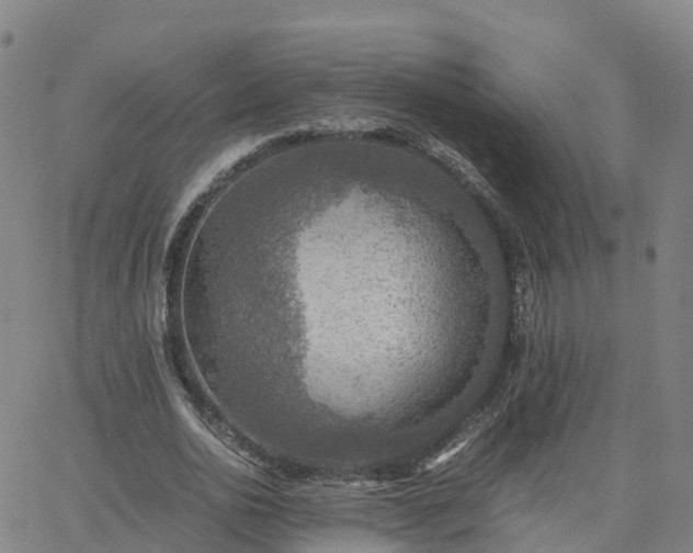 X0000063460726200601271603