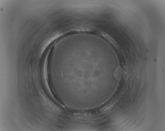 X0000063460727200601271603