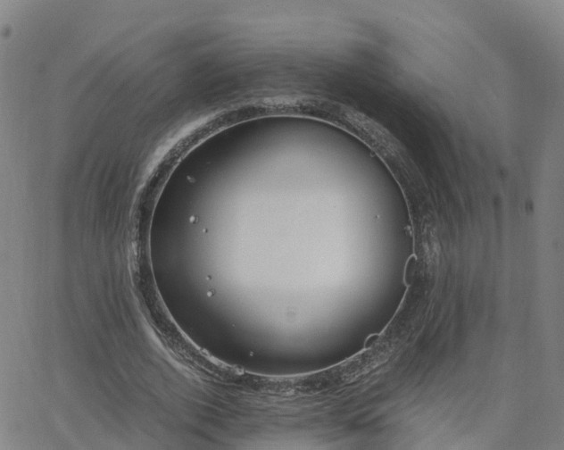 X0000063460728200601271603