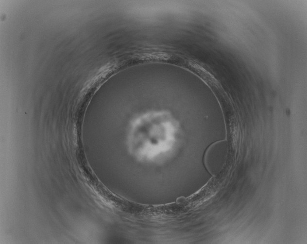 X0000063460729200601271603