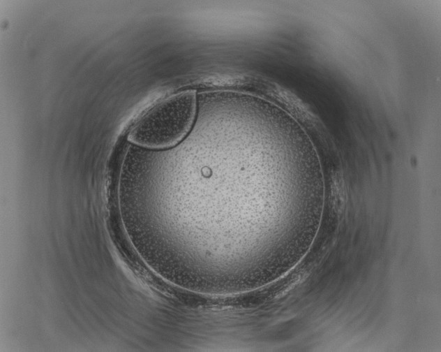 X0000063460730200601271603