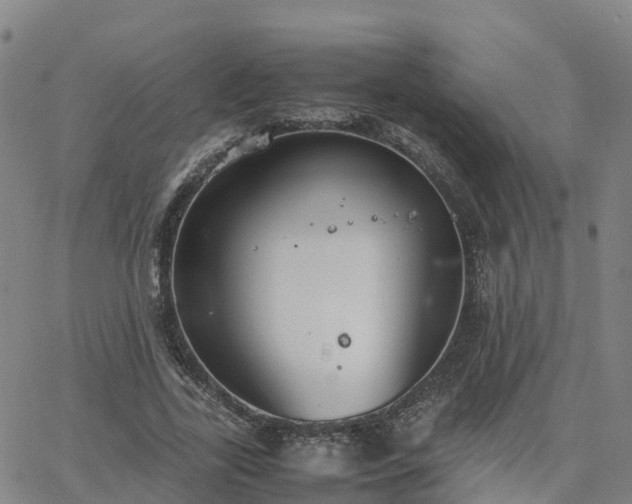 X0000063460731200601271603