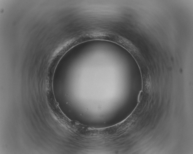 X0000063460732200601271603