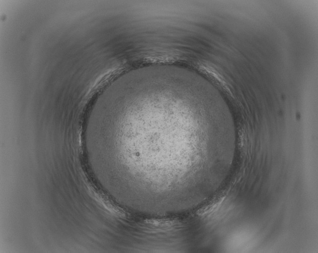 X0000063460733200601271603