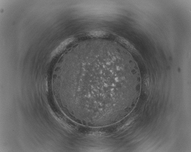 X0000063460734200601271603