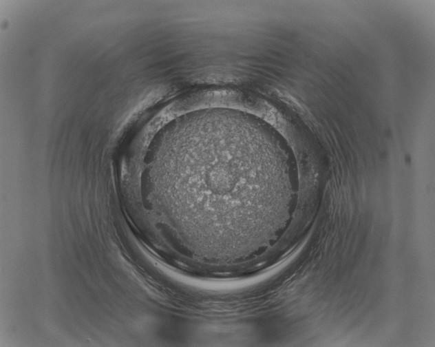 X0000063460735200601271603