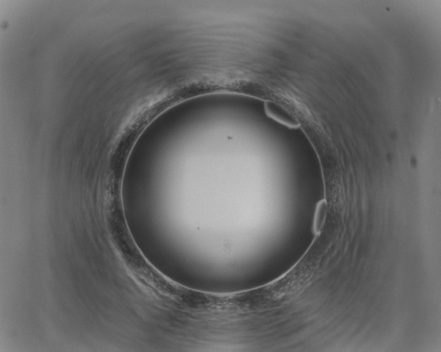 X0000063460736200601271603