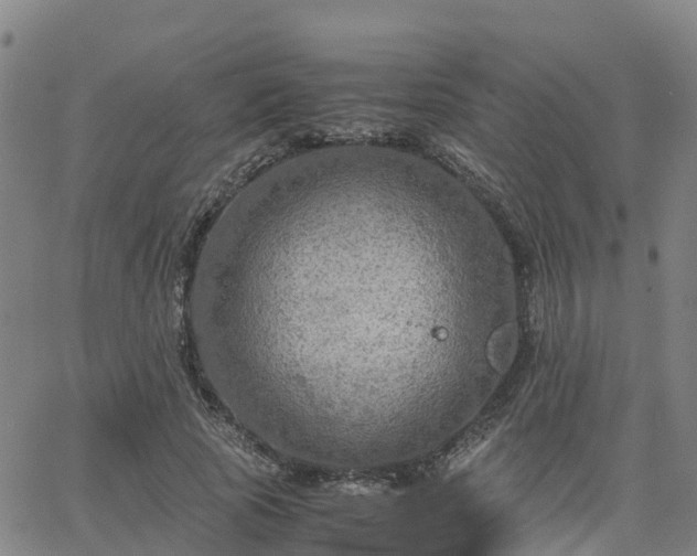 X0000063460737200601271604