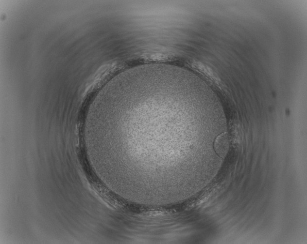 X0000063460738200601271604