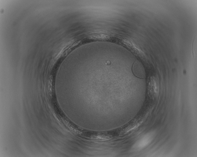 X0000063460739200601271604