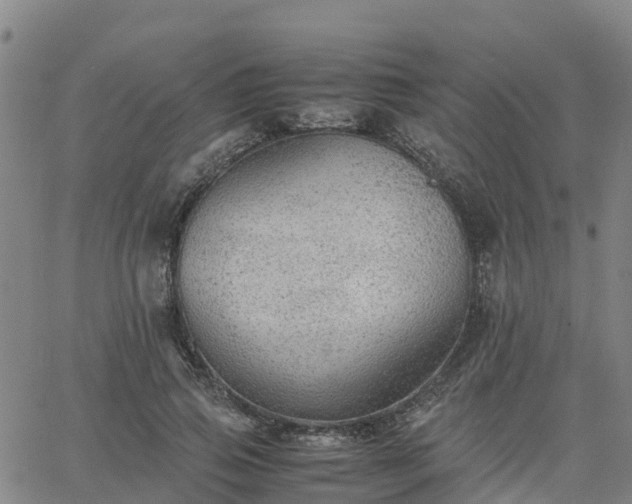 X0000063460741200601271604