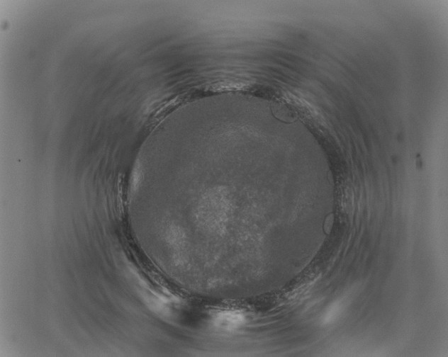 X0000063460743200601271604