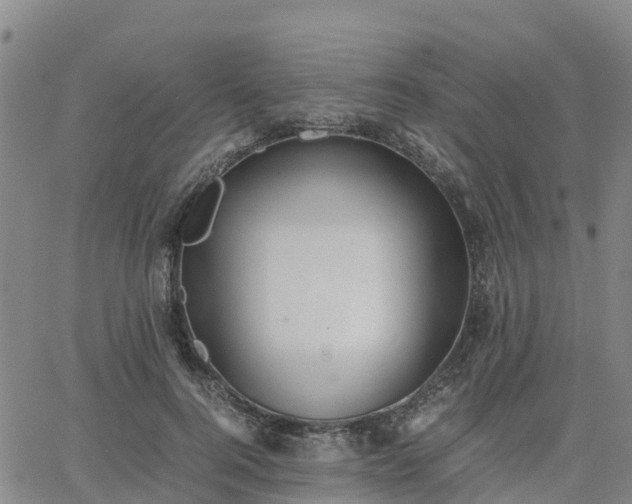 X0000063460744200601271604