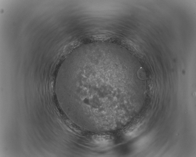 X0000063460745200601271604