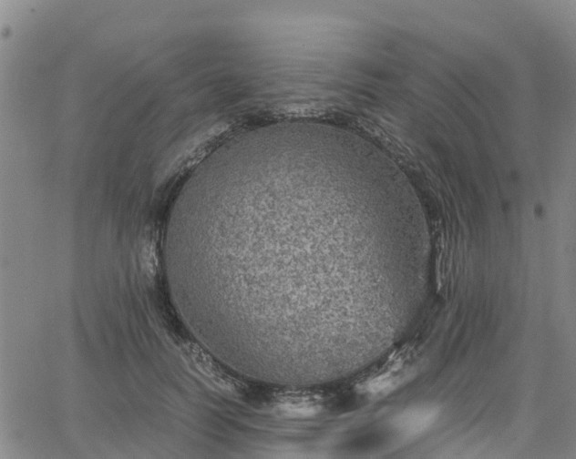 X0000063460746200601271604