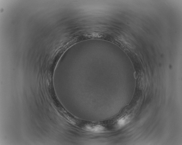 X0000063460747200601271604