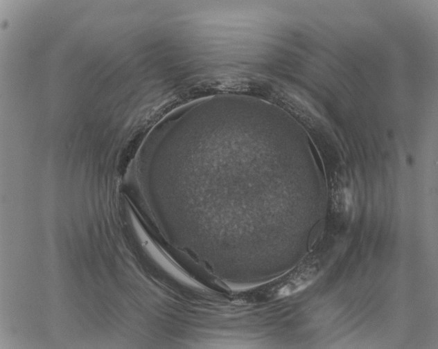 X0000063460748200601271604