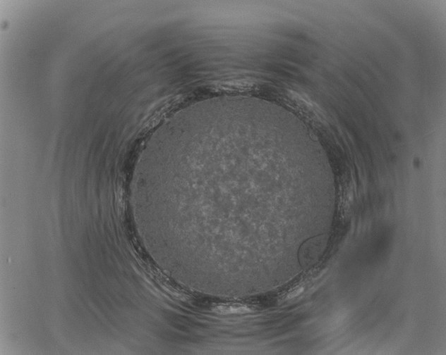 X0000063460749200601271604