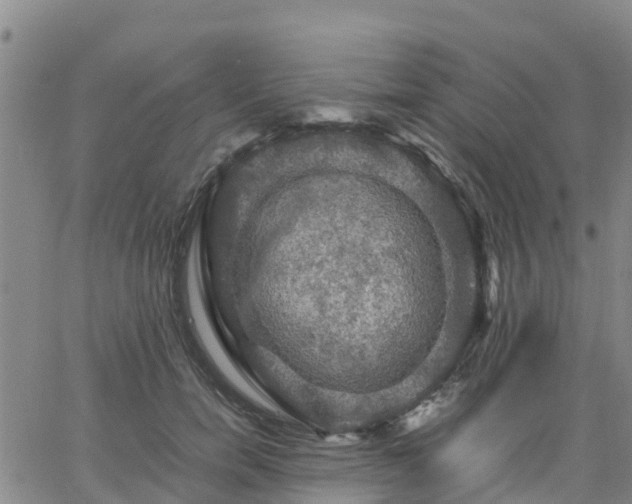 X0000063460750200601271604